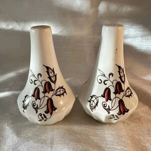 Vintage J And G Meakin Hampton Court Salt And Pepper Shaker